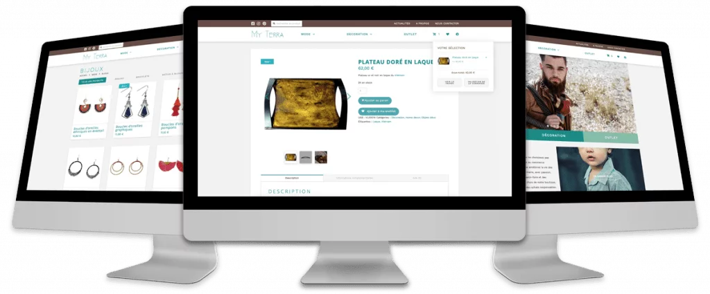 my terra nouveau site web par mon consultant marketing 1 e1588708409355 1024x425.png